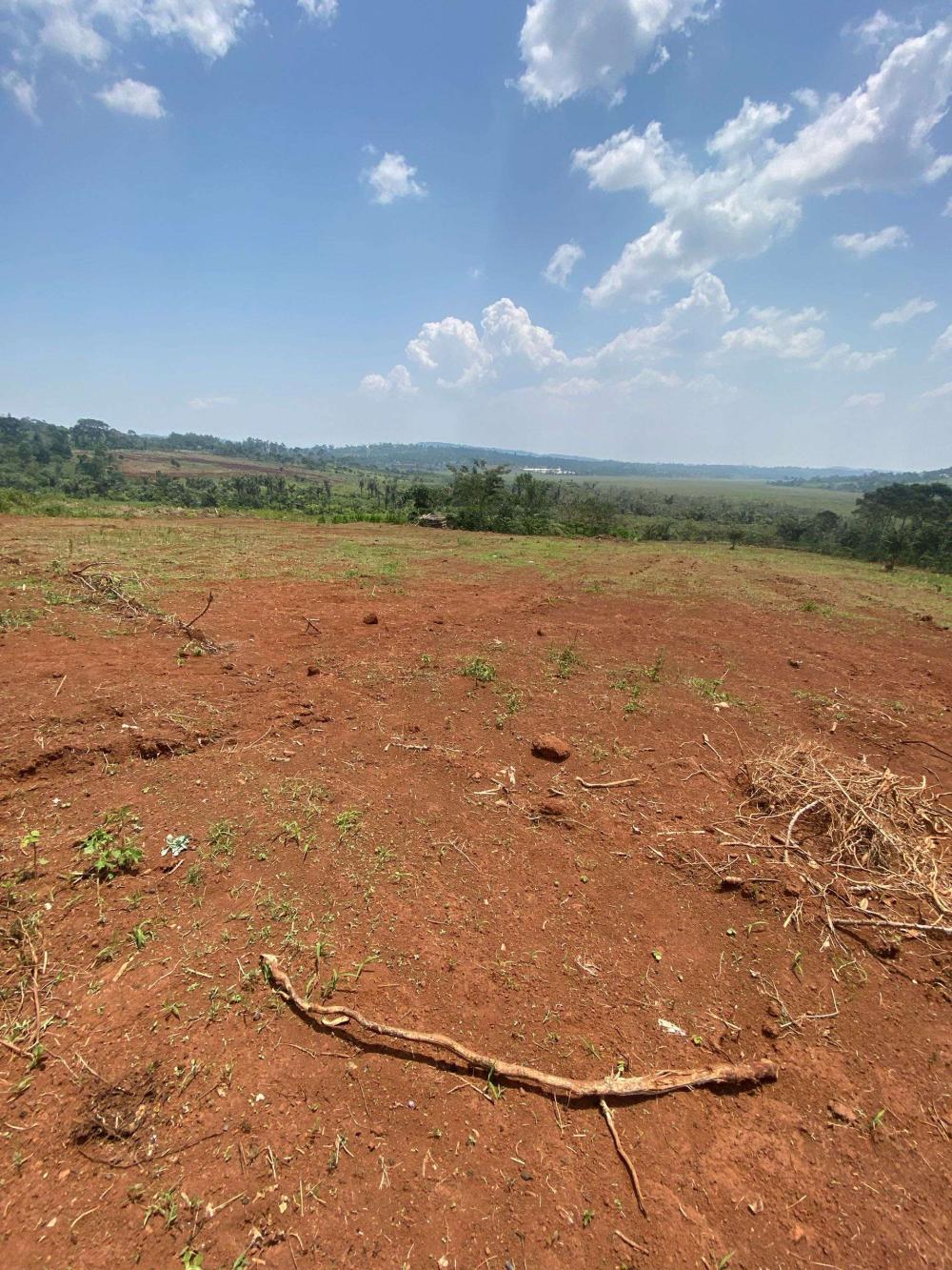 Plots For Sale in Nkokonjeru - Mukono (Private Title) - Image 2