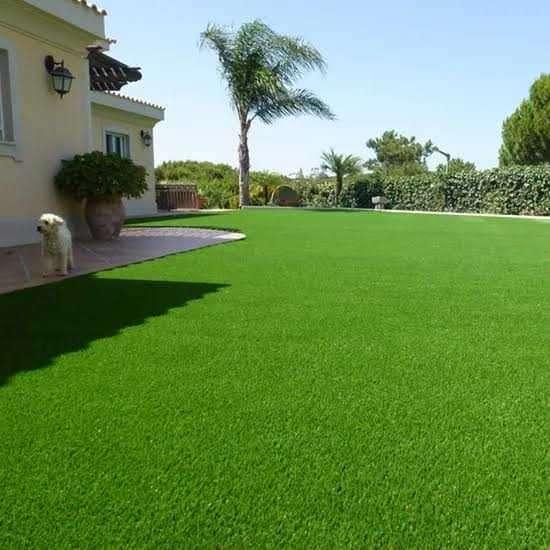 Compound Designing and Landscaping - Image 2