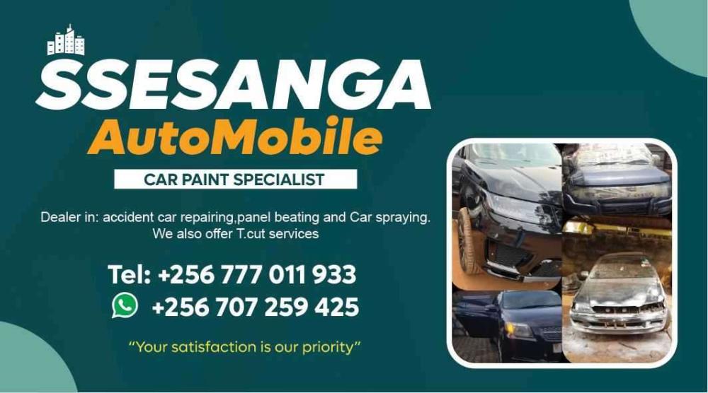 Car Painting, Panel Beating, T-Cut, Body Polishing - Image 6