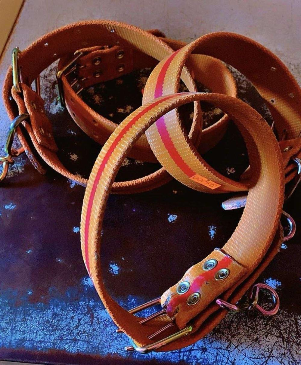 Dog Collars - Image 3