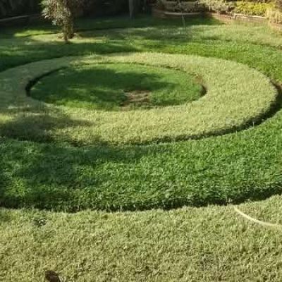 Compound Designing and Landscaping