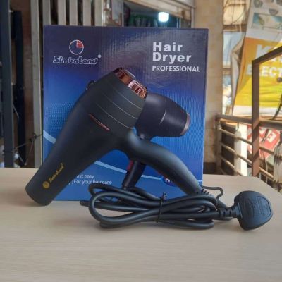 Professional Hair Dryer