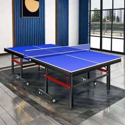 Table Tennis Tables