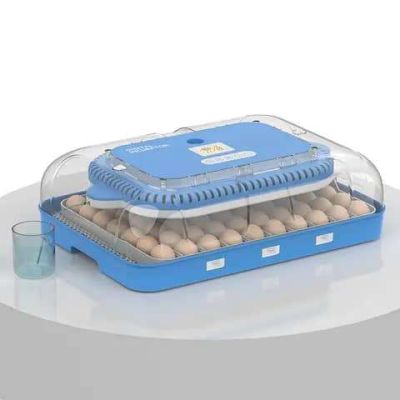 70 Eggs Solar/Electric Incubator