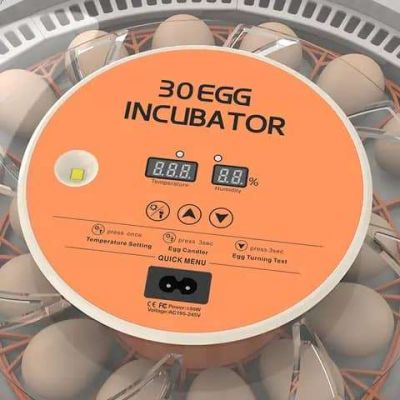 30 Eggs Incubator